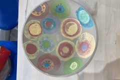 24-10-06-16-44-47-5647-scaled