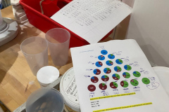 25-11-02-21-58-45-082e